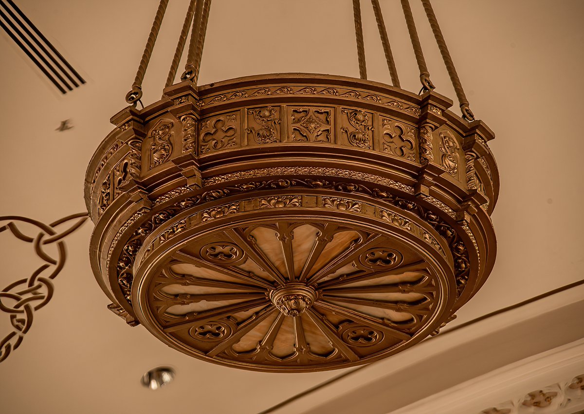 Mr. P. Explores tweet media