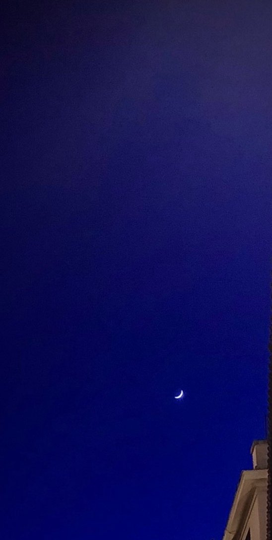 Boro Alvarez tweet media