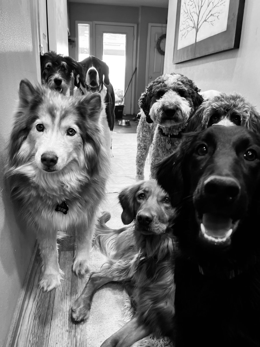 Old Boot Ranch tweet media