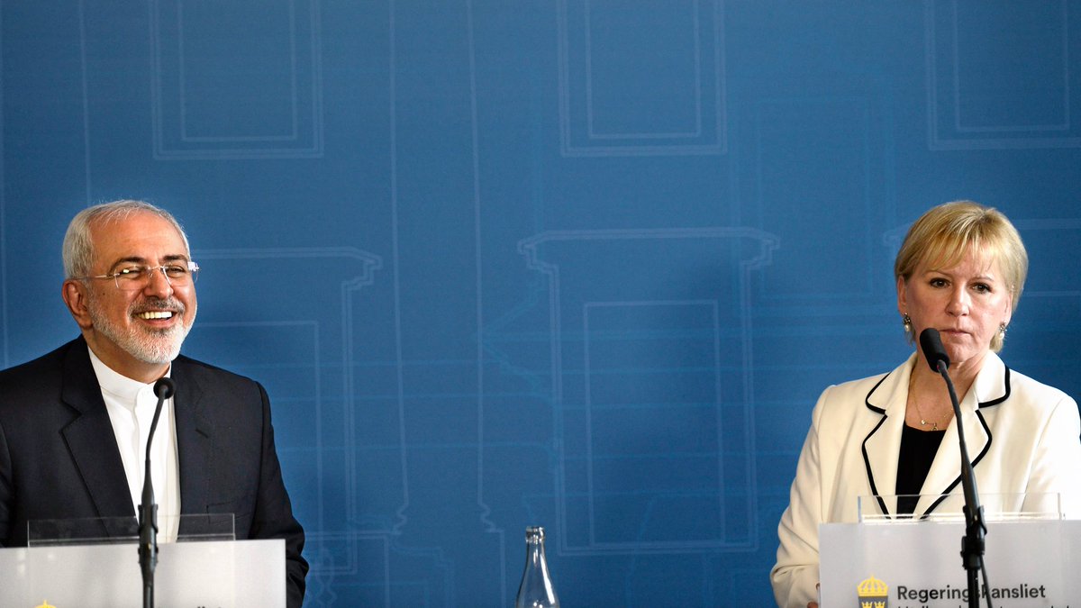 Mojdeh Zandieh tweet media