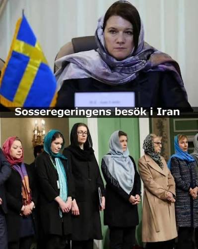 Mojdeh Zandieh tweet media