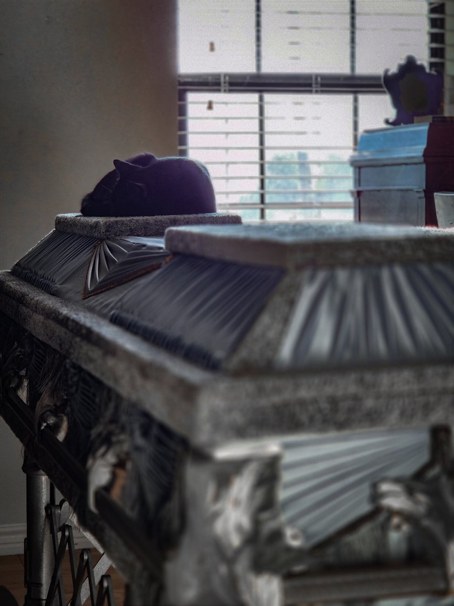 Unknown Ventures tweet media