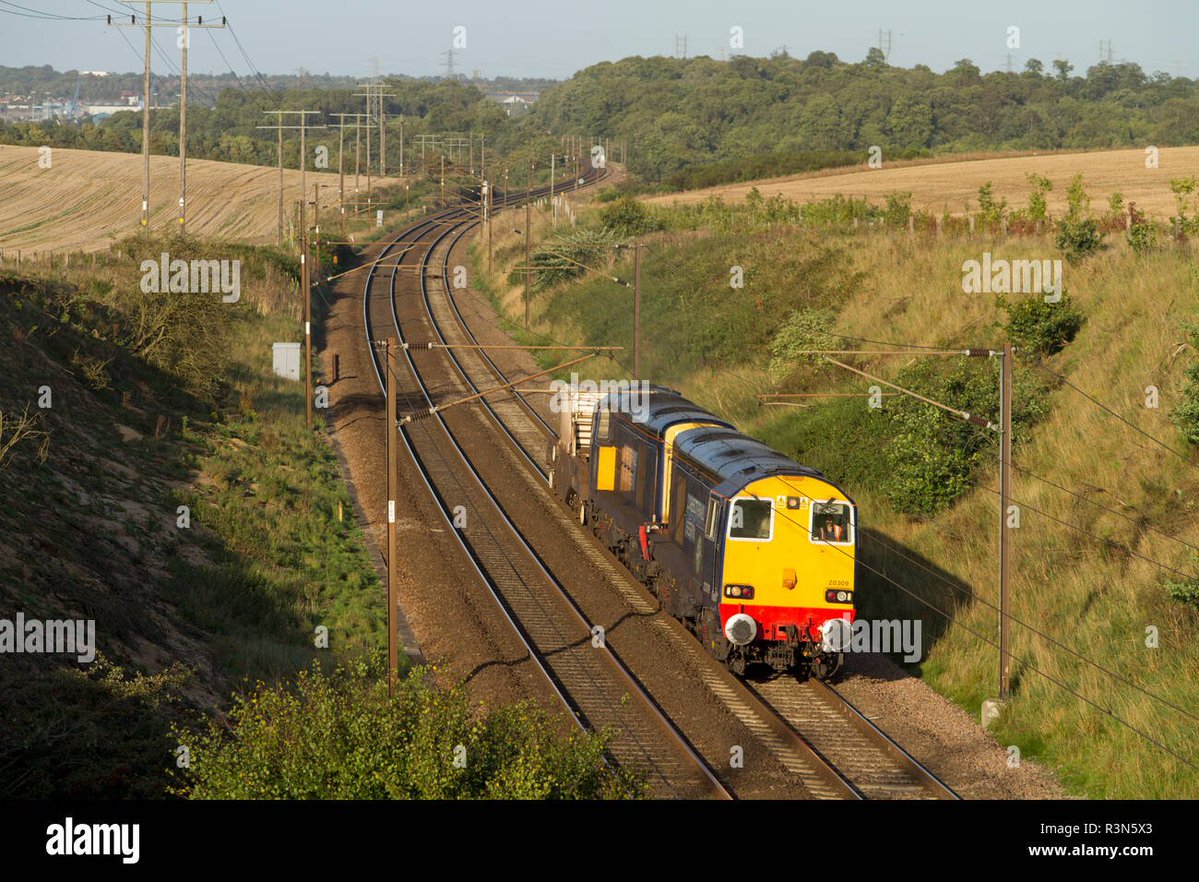 Luke (not Ryan) tweet media