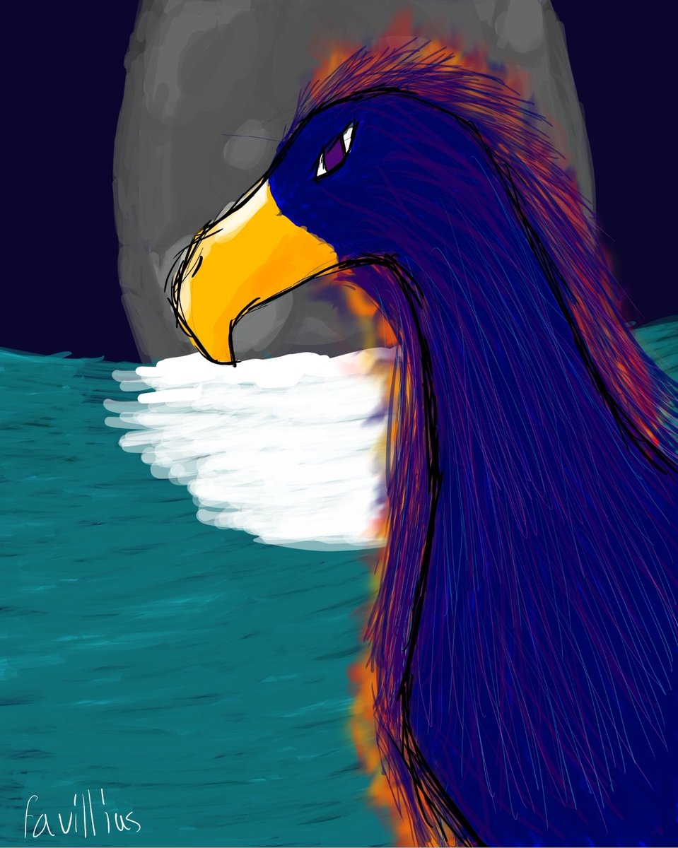 Favillius tweet media