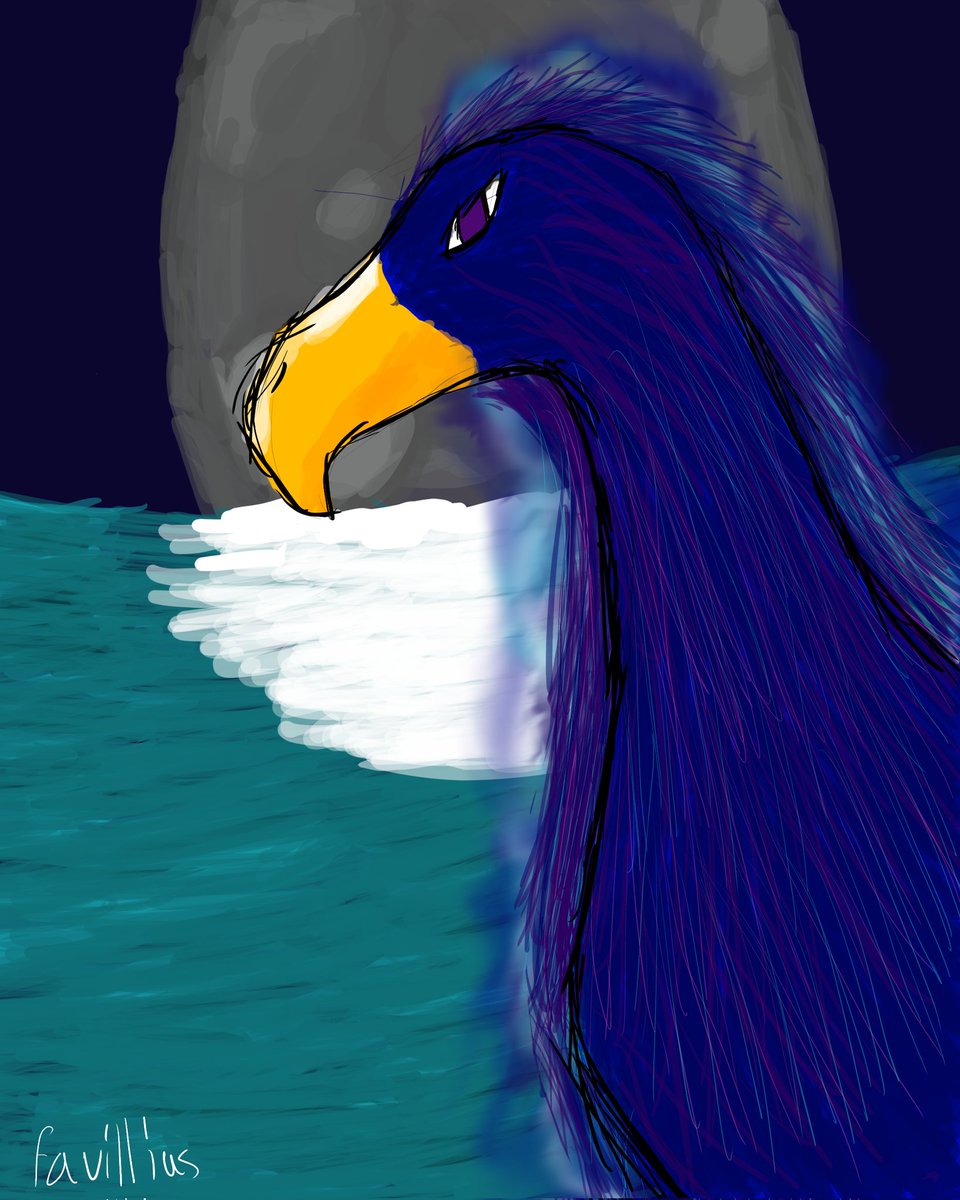 Favillius tweet media