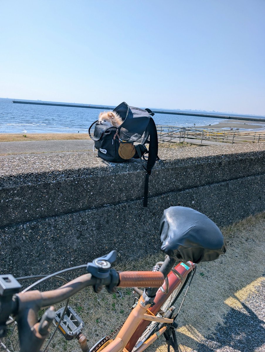 ロコ❤モア tweet media