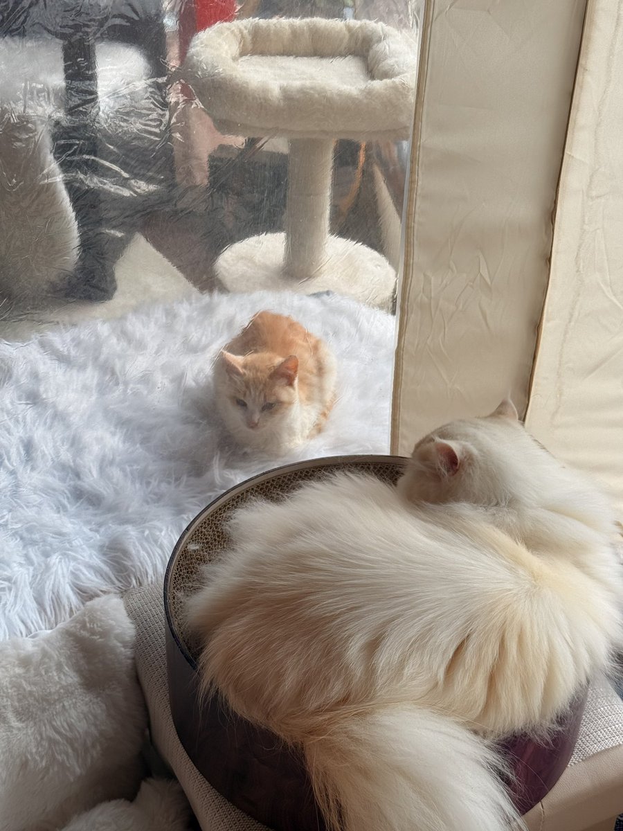 Macha_Zo tweet media