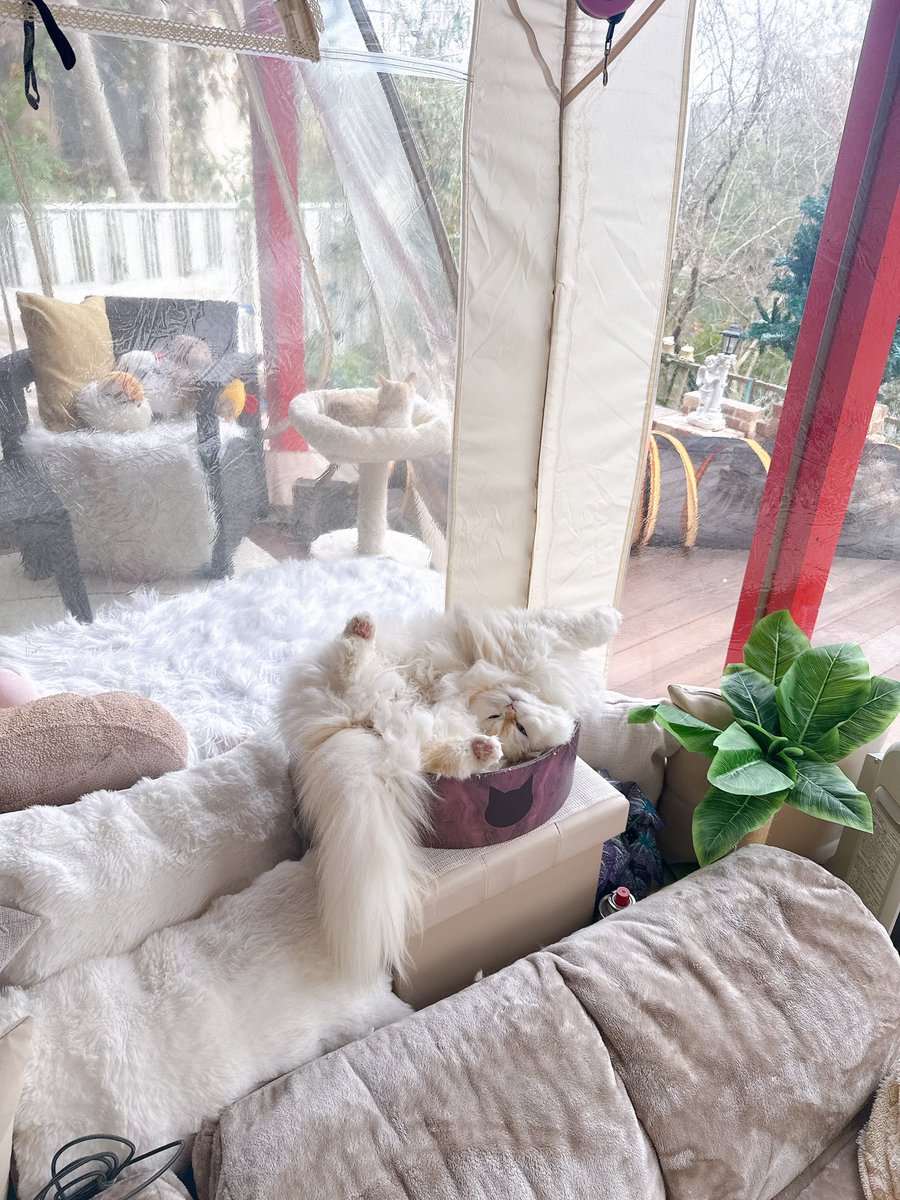 Macha_Zo tweet media