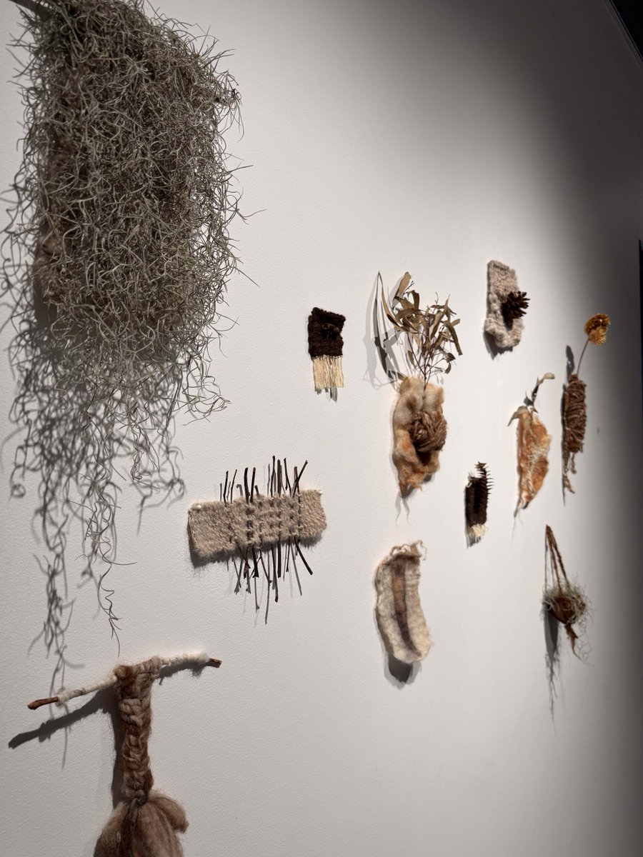 StrathfieldMC tweet media