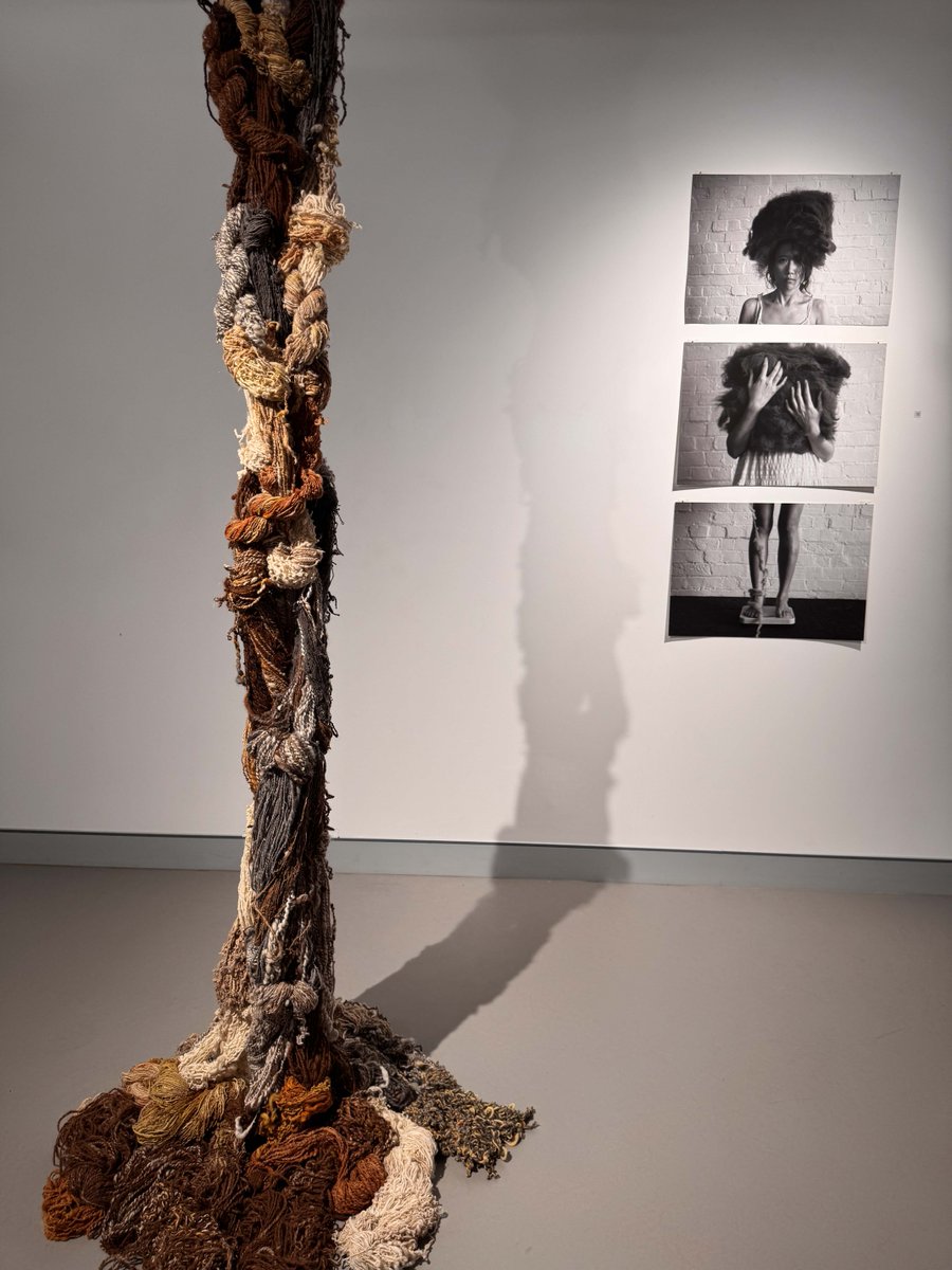 StrathfieldMC tweet media