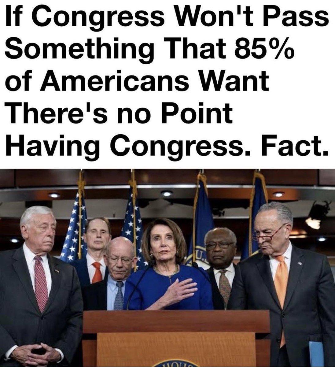 DawnthePatriot's tweet image. Pass the #SaveAct!  #NoKings The people want this!  @SpeakerPelosi @SenSchumer