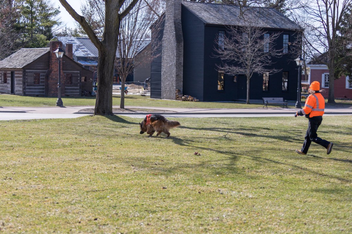 WolverineState's tweet photo. Special thank you to #GreenfieldVillage for allowing our #K9 Search and Rescue teams to train at your amazing location. Such a unique opportunity for the canine teams. https://t.co/b6mmfJWKw6