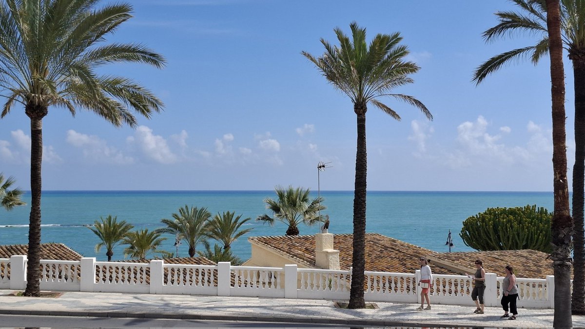 𝕷𝖆𝖇𝖆𝖘 𝖗𝖞𝖙𝖆𝖘 𝖐𝖚𝖗𝖛𝖆!🇪🇸 tweet media