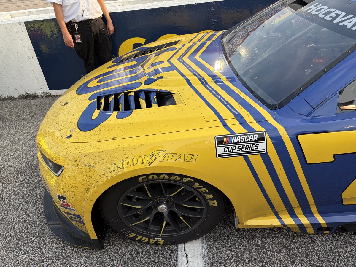 Peter Stratta tweet media