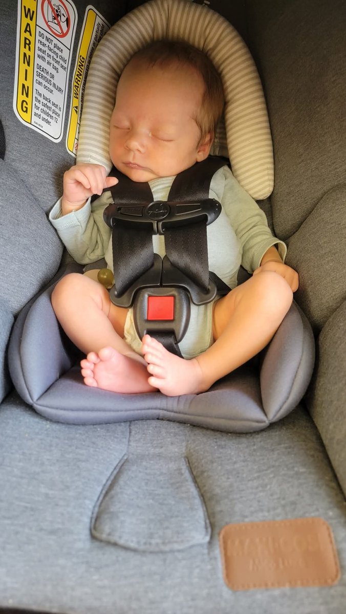 The Husky tweet media