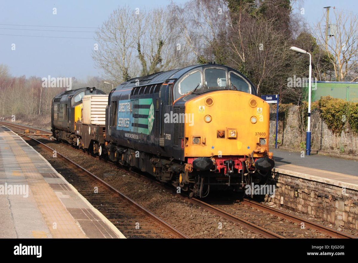 Luke (not Ryan) tweet media