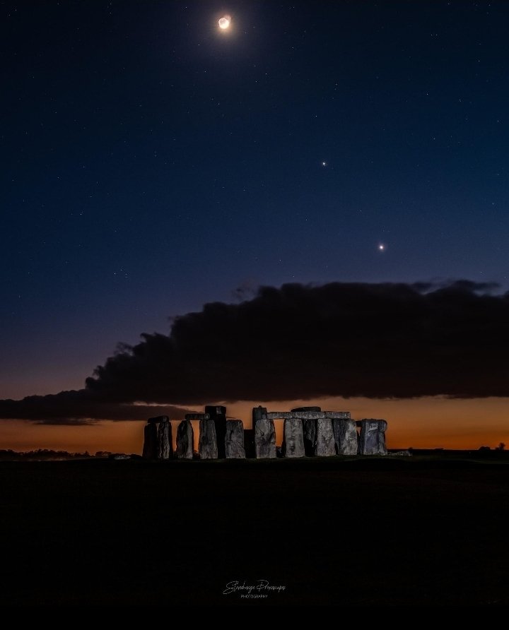 Dr Peach's Stone Temple Gardening. tweet media