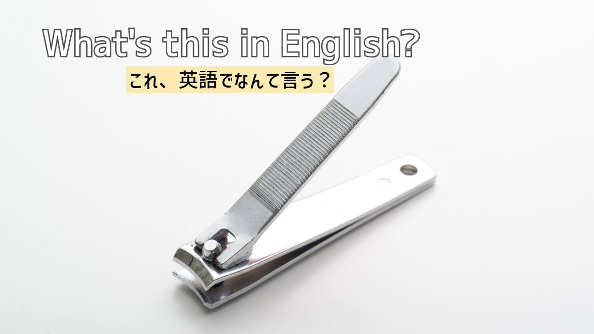 Brighture English Academy|本気の英語学習 tweet media