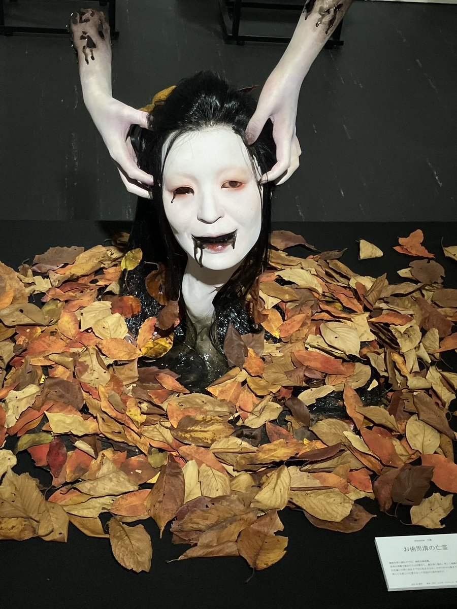 光-ひかる- tweet media