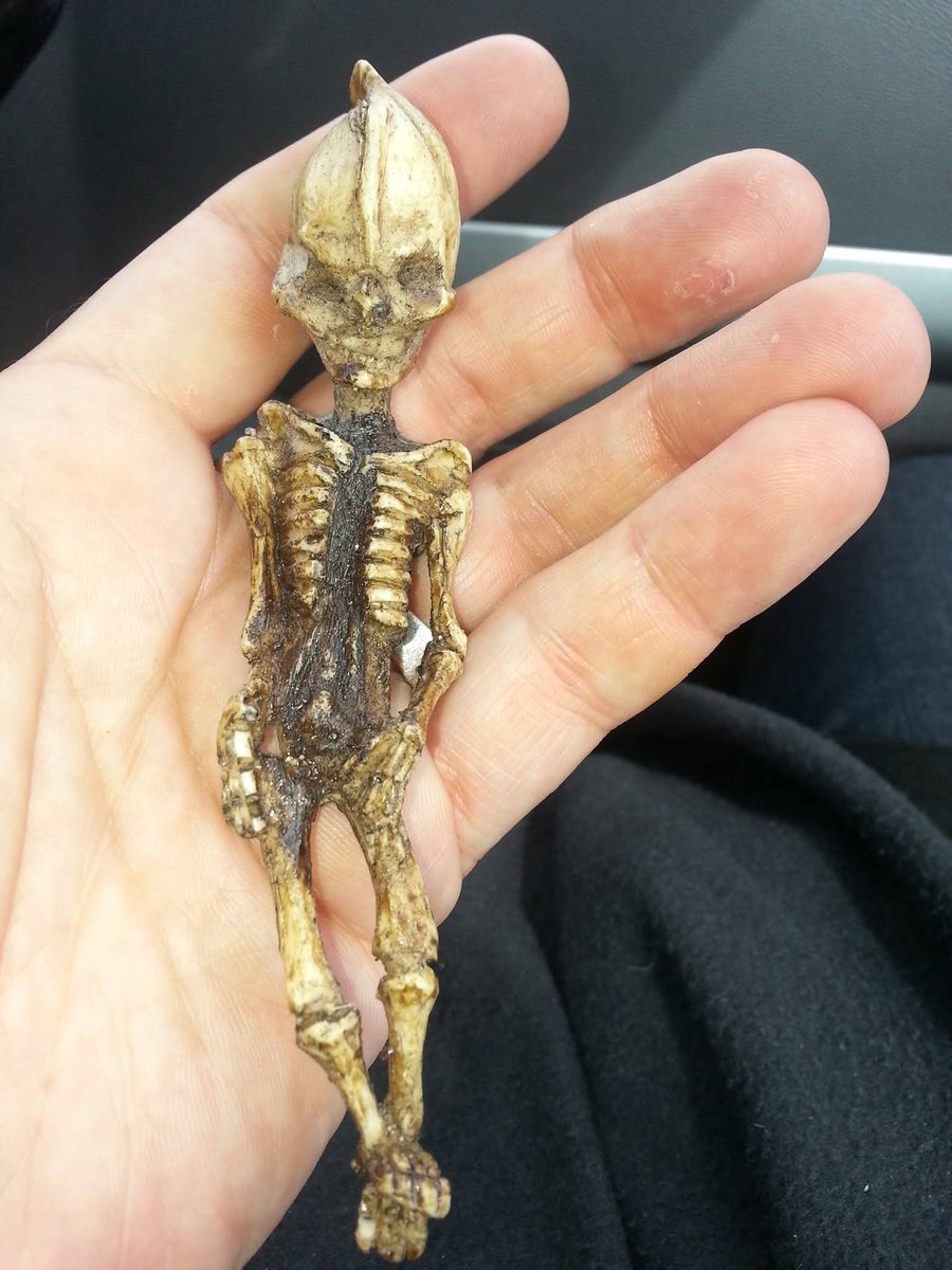 AsierVaderPresley tweet media