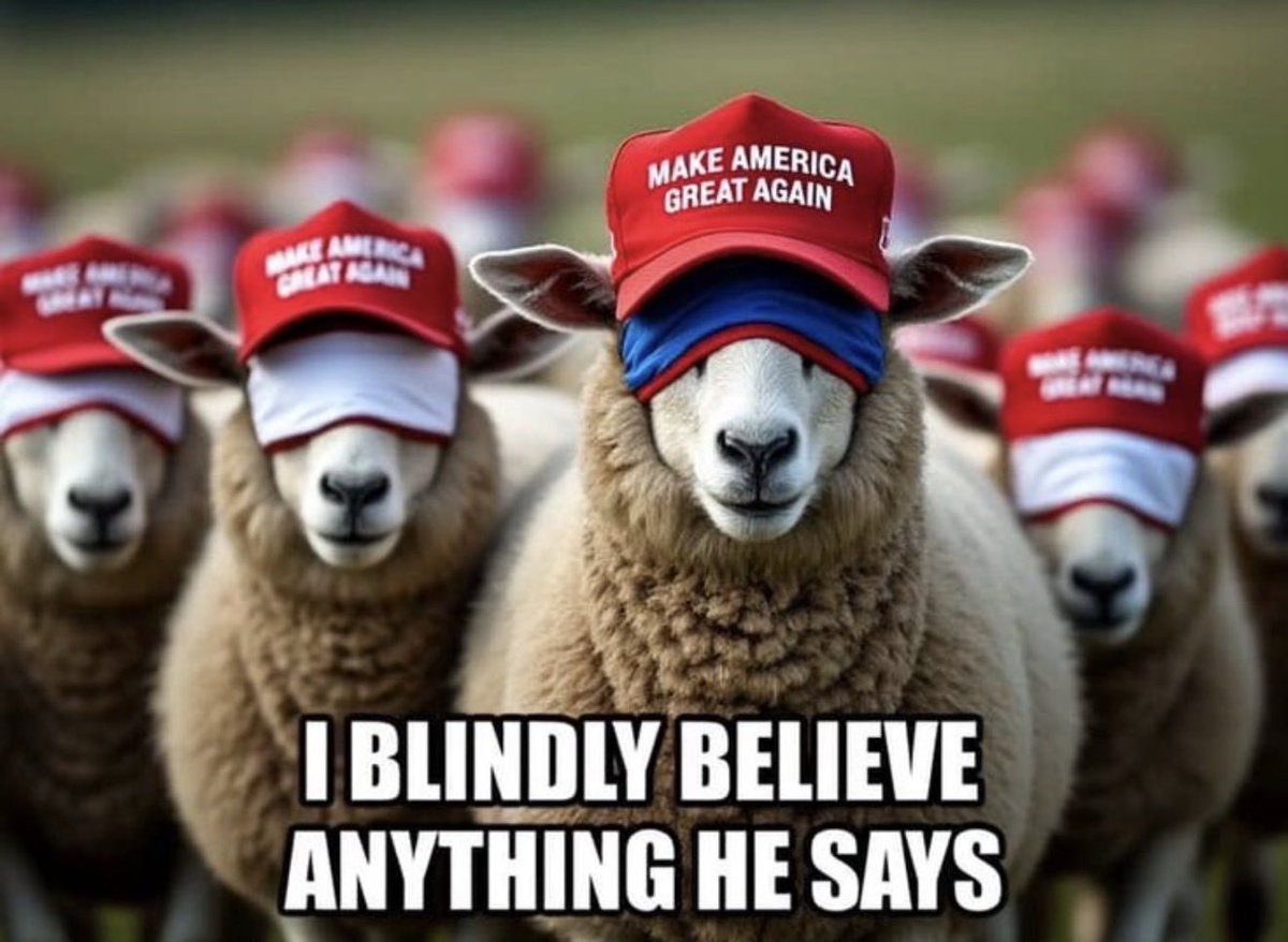 (W)alter (L)ego tweet media