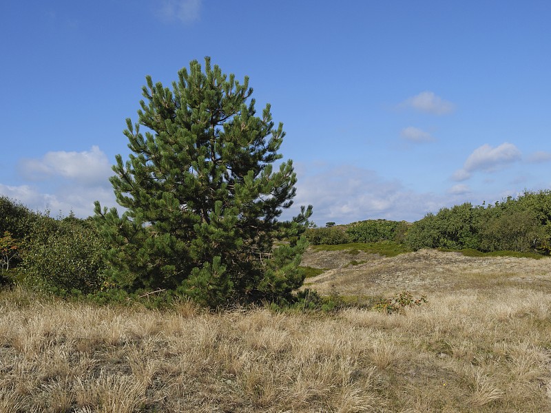 Freddy Ramirez tweet media