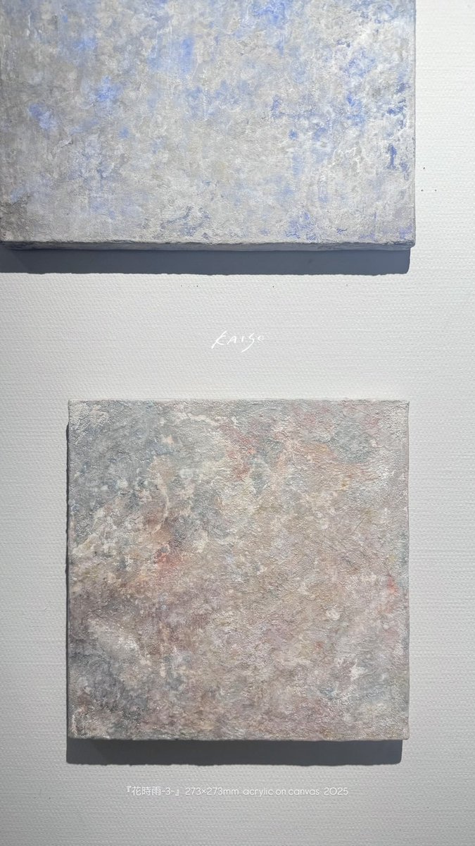 KAISO☁️ tweet media