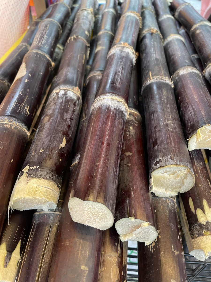 睿爾芙 tweet media