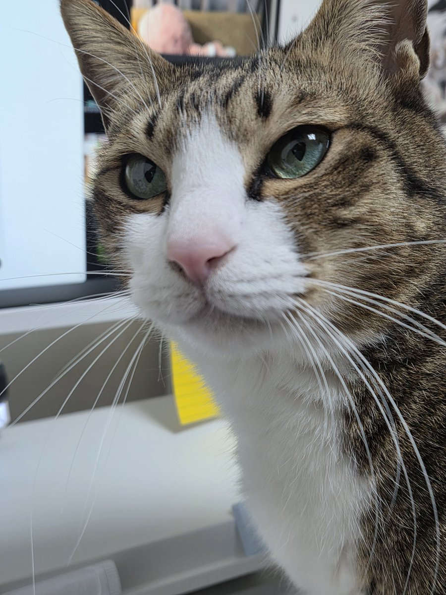 연새미로 tweet media