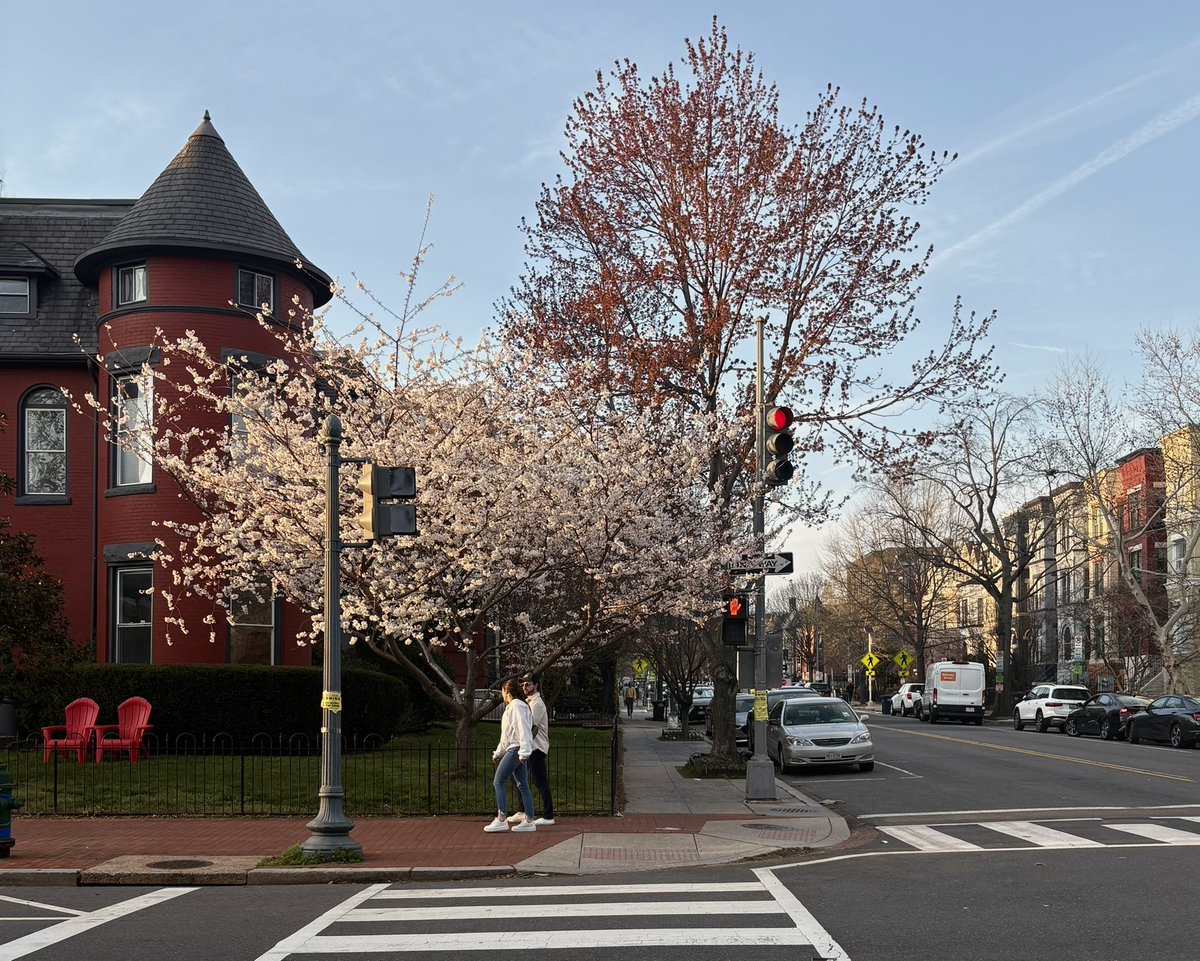 Nat Purser tweet media