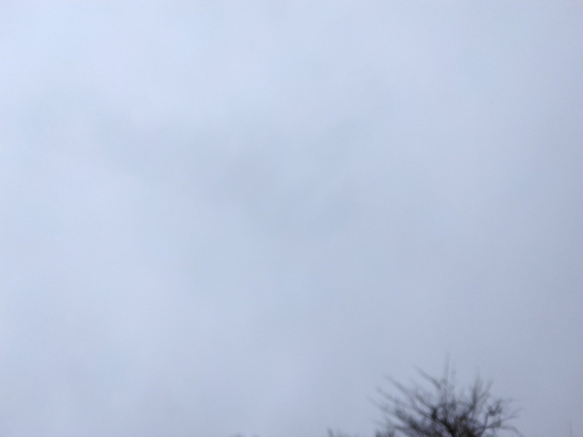 綾樫(あやかし)パッション tweet media