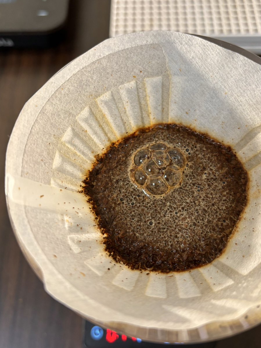 عبدالعزيز tweet media