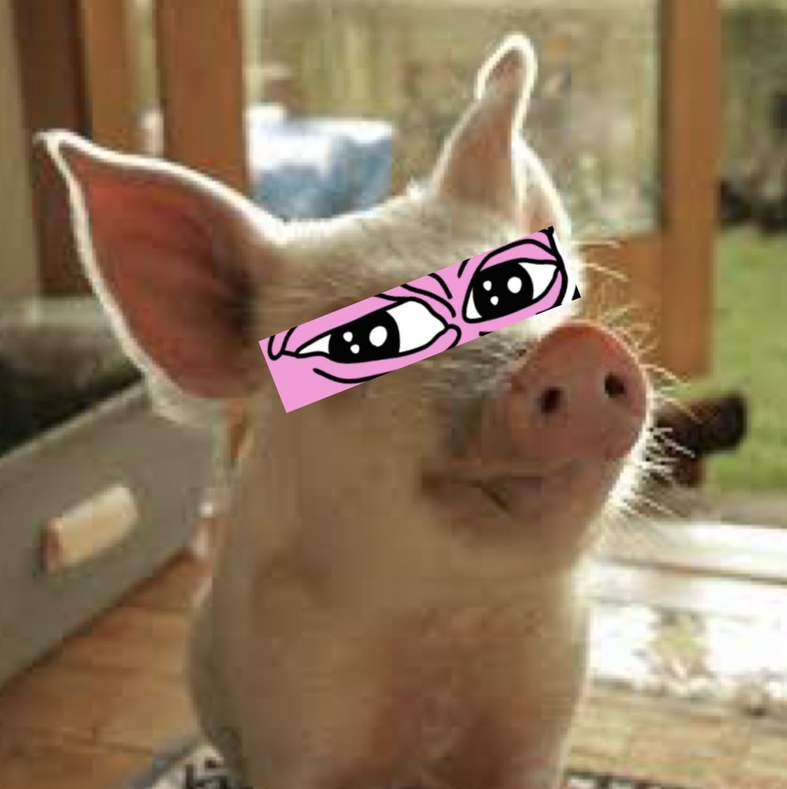 lemem.eth 🪷 tweet media