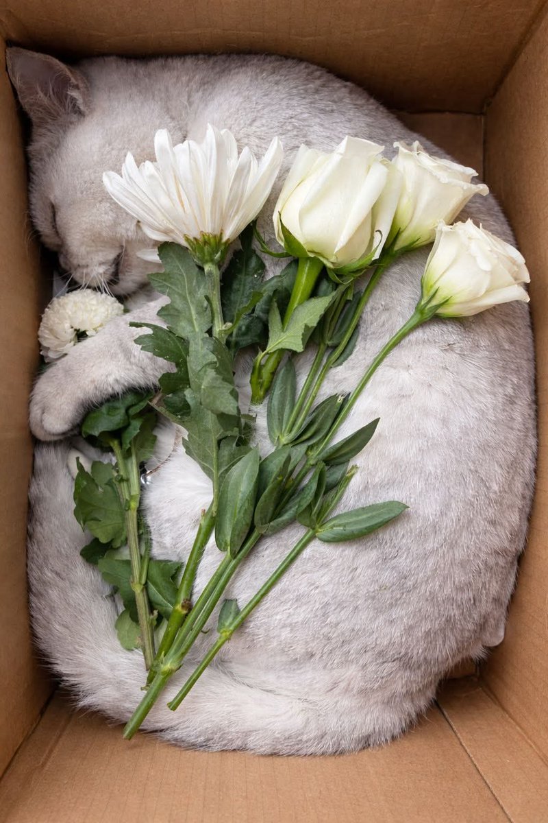 Kristina Bolten tweet media