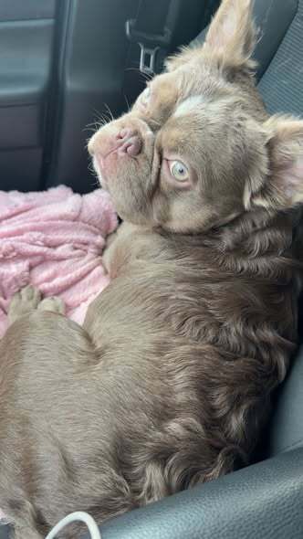 Christine J Arepaki tweet media