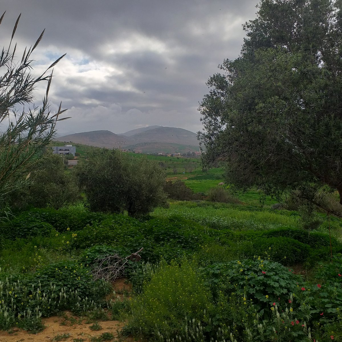 وَسِـيـمَـةٌ tweet media