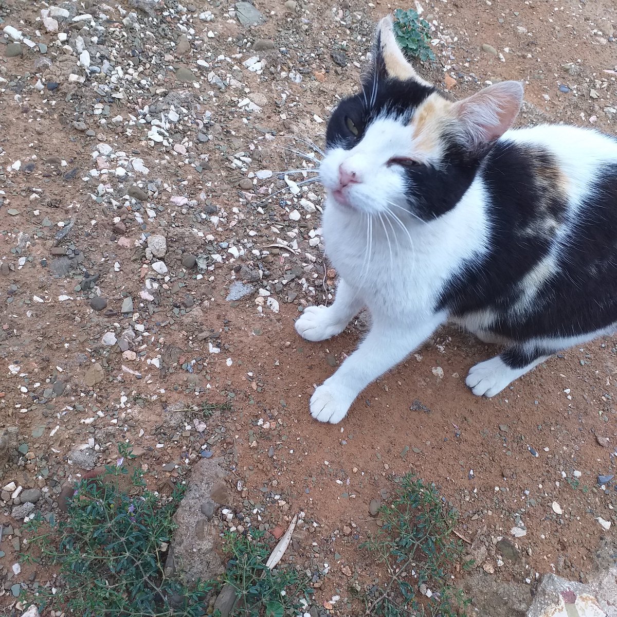 وَسِـيـمَـةٌ tweet media