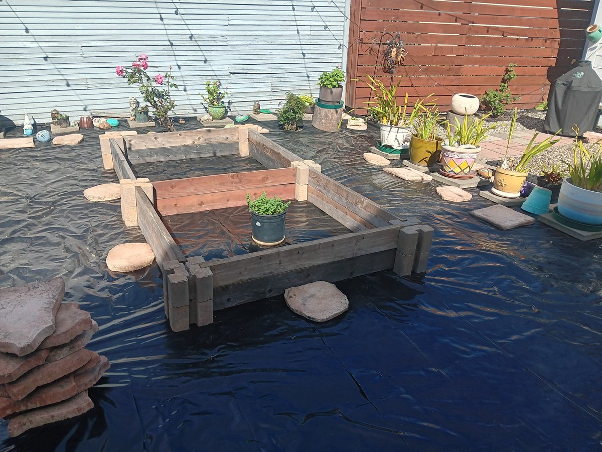 Pedro Zavier tweet media