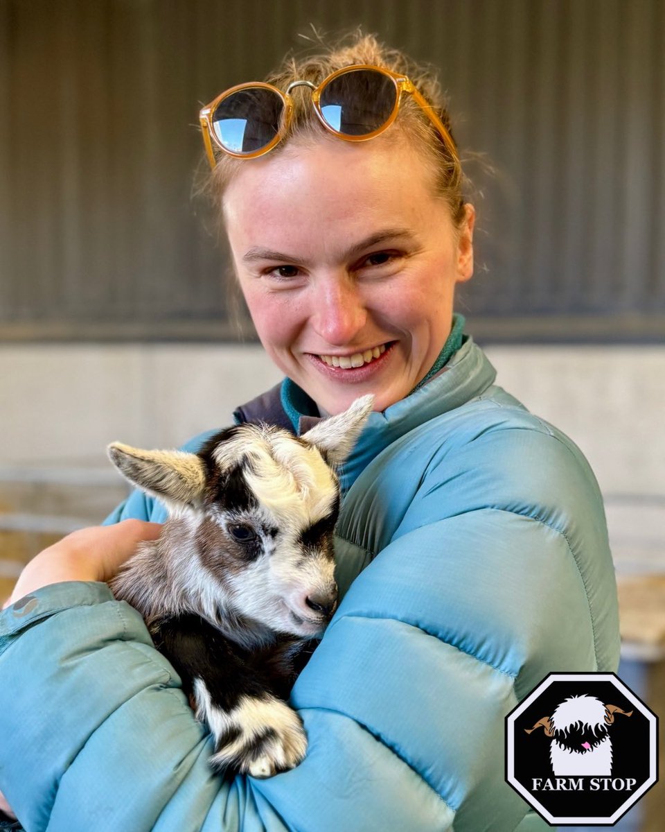 FarmStopABZ's tweet photo. ๐๐โฃ๏ธPOPPY MEETING POPPYโฃ๏ธ๐๐
Do you know a Poppy that needs to meet Poppy the Pygmy Goat? ๐ฅฐ
#ThingsToDoAberdeen
#PygmyGoat #Cuddles #animaltherapy https://t.co/bUKu8Lmxw9