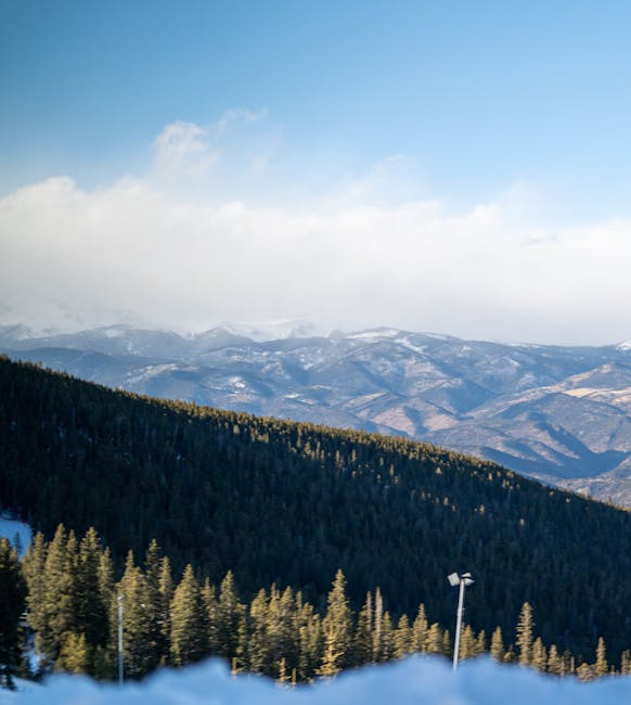 Jennifer Gilbert tweet media