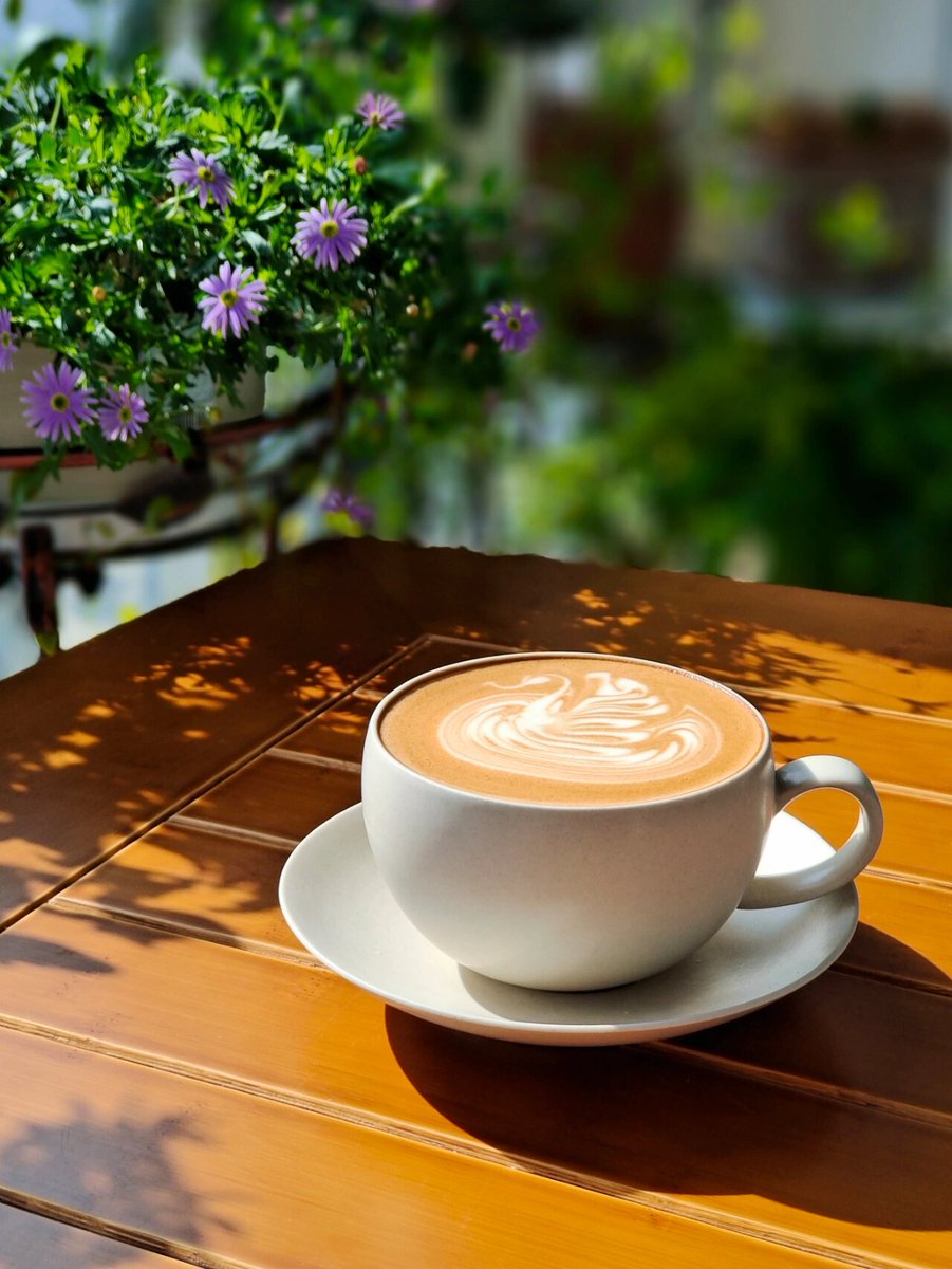 Luca Comodi tweet media