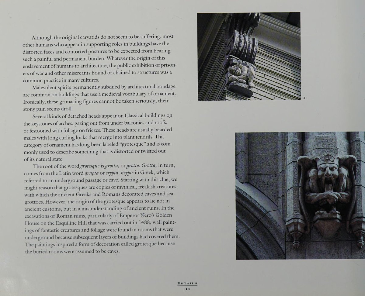 Tomb Raider Texture tweet media