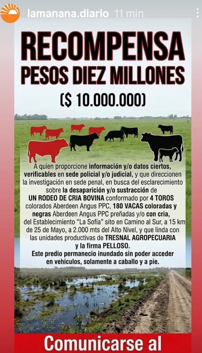 VaneSinFiltro 🇦🇷🐱🇦🇷🐱 tweet media