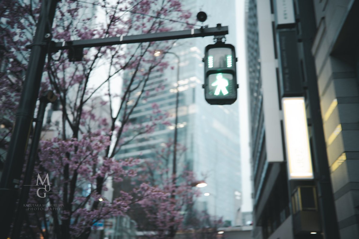 𝐊_𝐌𝐮𝐠𝐮𝐫𝐮𝐦𝐚 tweet media