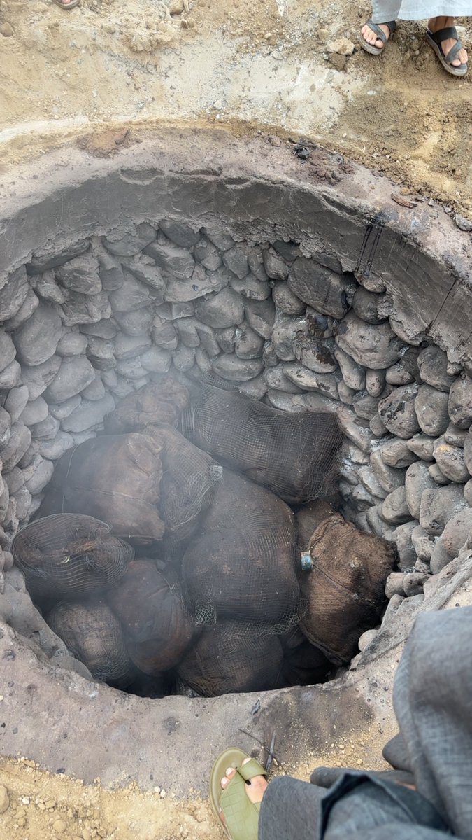 محمد بِن يُوسف🐆 tweet media