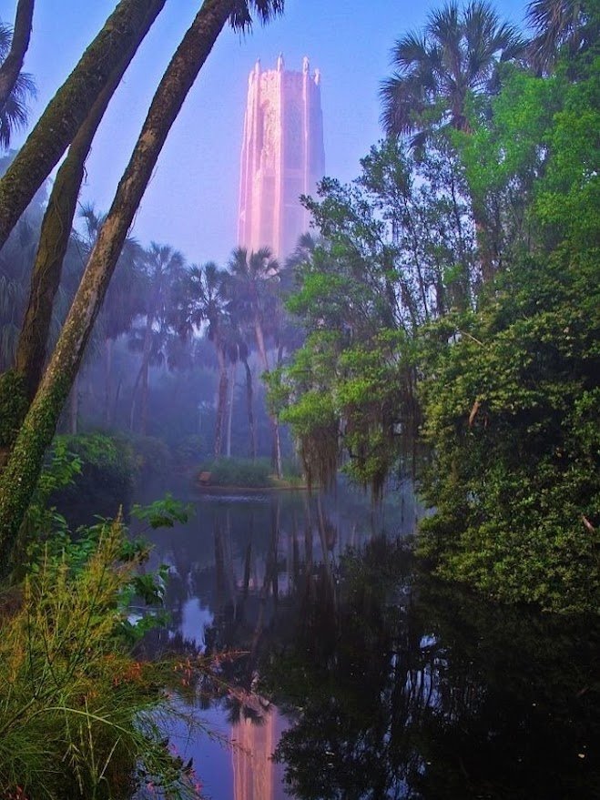 Plantation Prince🏴 tweet media