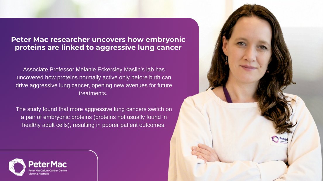 Peter Mac Cancer Centre tweet media