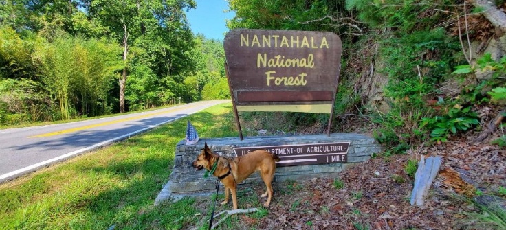 ke4est's tweet photo. JOIN US Saturday, April 25th for the 3rd Annual Murphy, NC, POTA Meet-up! Meet us at the Hanging Dog Boat Ramp, 1881 Hanging Dog Campground Rd, Murphy, NC 28906. Group POTA Activation begins at 2 p.m.  It's a 2'fer: US-4509 &amp; US-6927. SEE YOU THERE! GPS: 35.096852, -84.092668 https://t.co/Iap3PoEkig