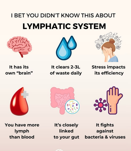 NarcissistBox's tweet image. #lymphaticsystem #stress #waste #HealthyHabits