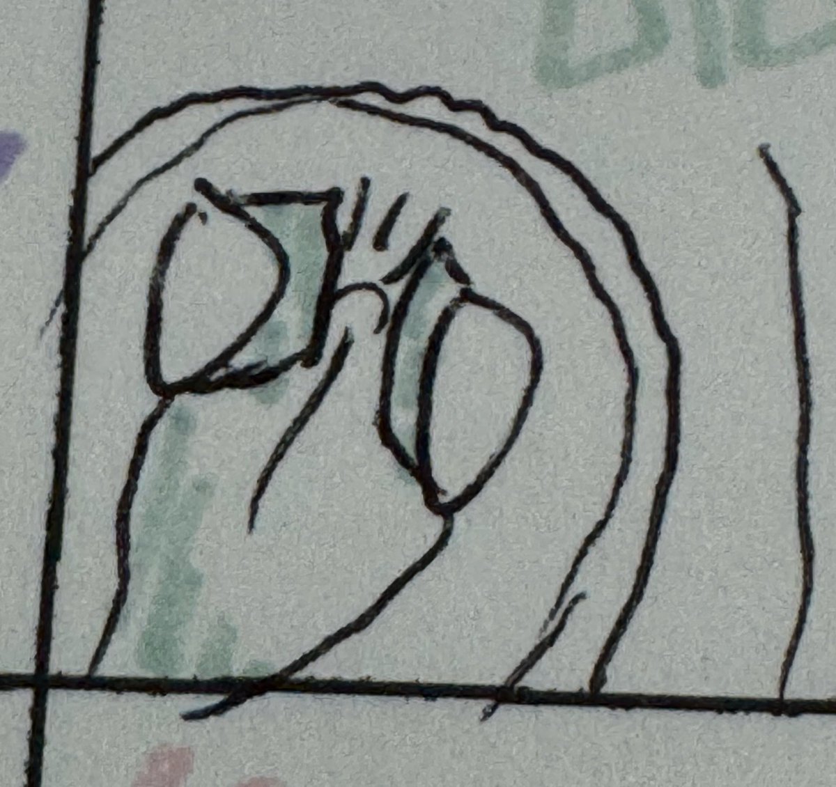 얘들아ㅜ 이거 뭐처럼 보여...?